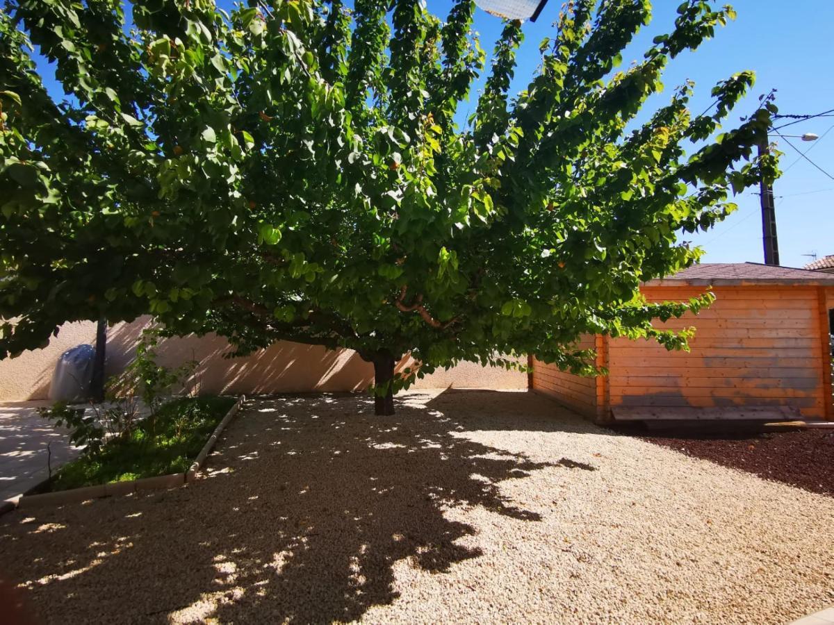 Gites Avec Grande Piscine Et Sa Terrasse Privative Bernis Экстерьер фото