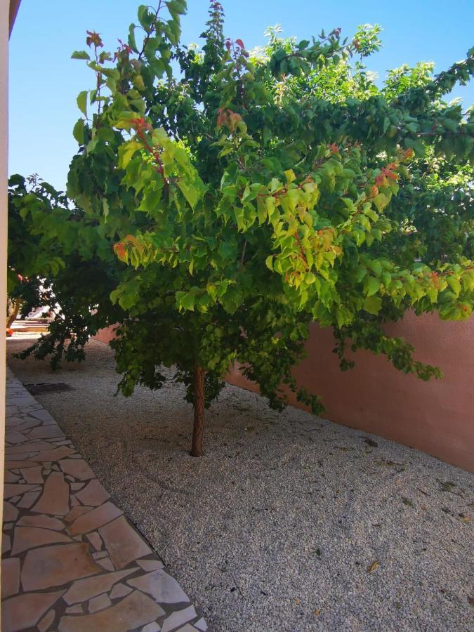 Gites Avec Grande Piscine Et Sa Terrasse Privative Bernis Экстерьер фото