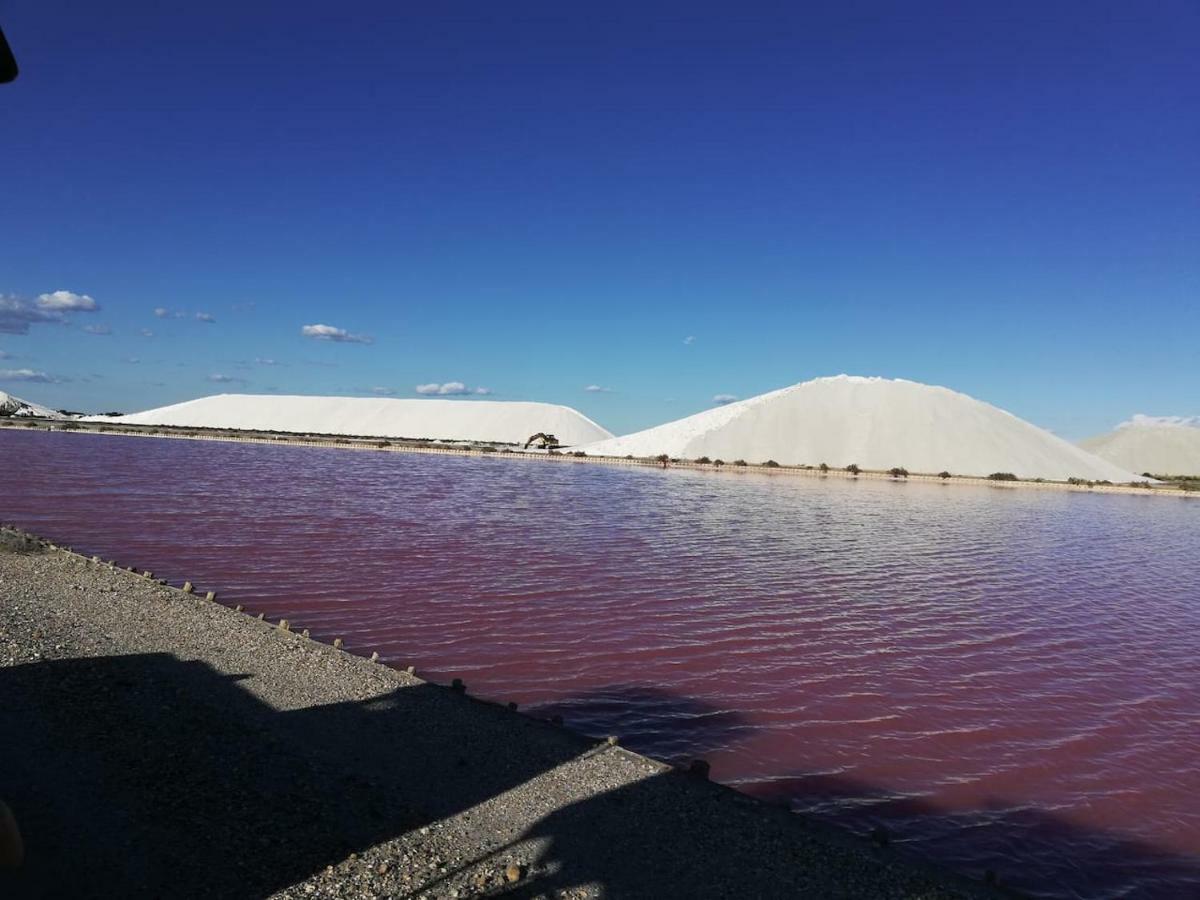 Gites Avec Grande Piscine Et Sa Terrasse Privative Bernis Экстерьер фото